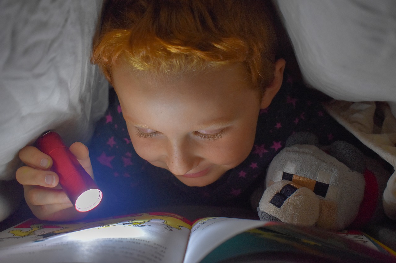 Vier pareltjes van boeken voor in de kerstvakantie!