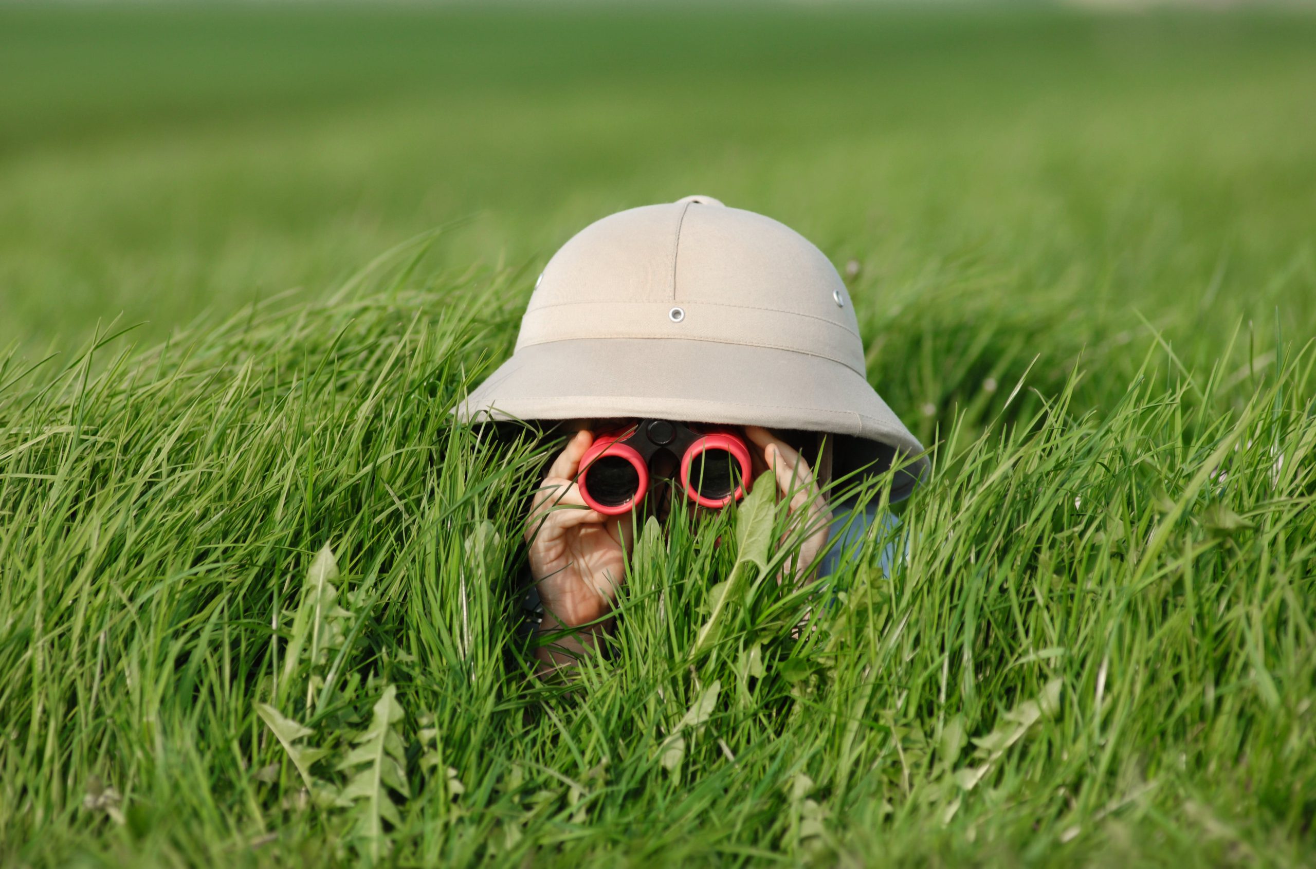 Training: school met een visie